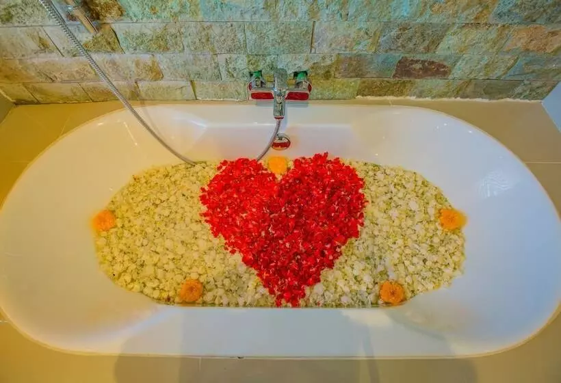 ベッドアンドブレックファースト The Vamana