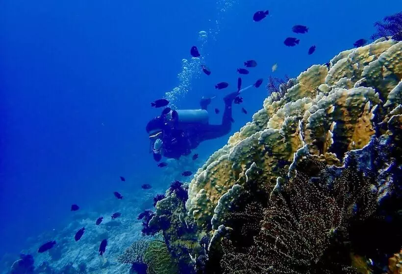 Hotelli Alegria Dive Resort