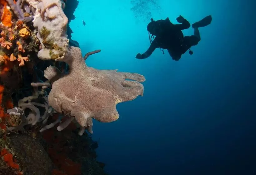 Hotelli Alegria Dive Resort