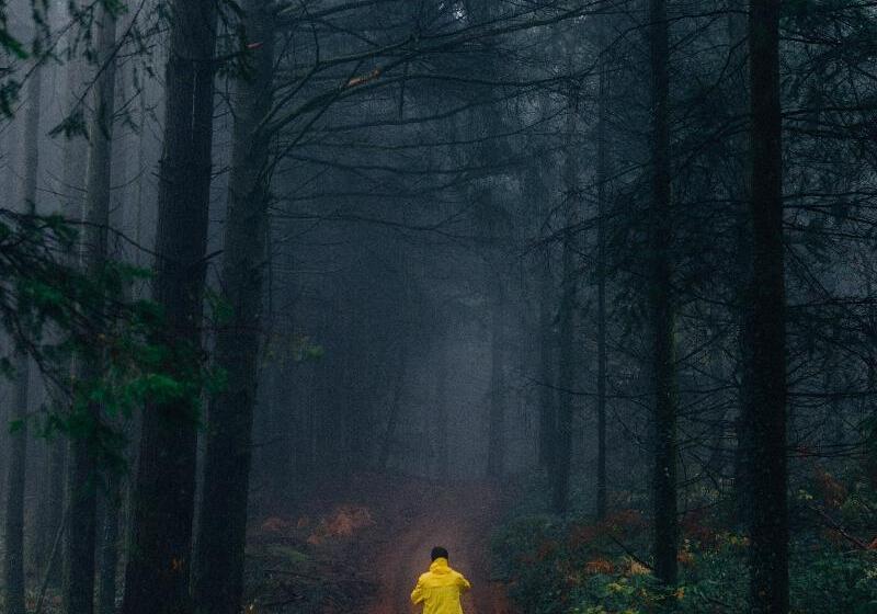 בית מלון כפרי Loire Valley Lodges