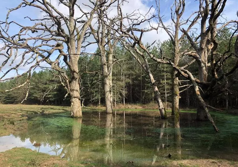 Hotelli Loire Valley Lodges