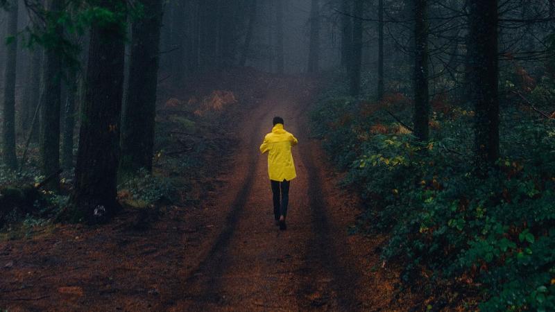 בית מלון כפרי Loire Valley Lodges