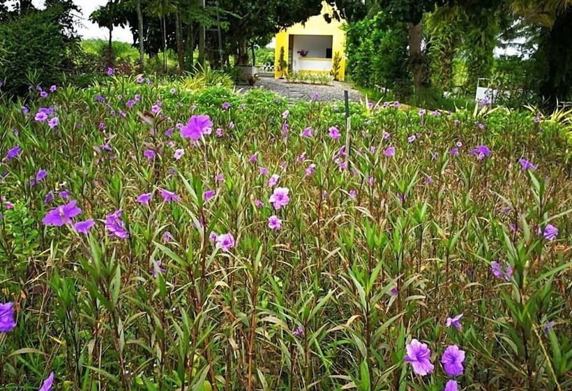 호텔 Viewdao Jandhra