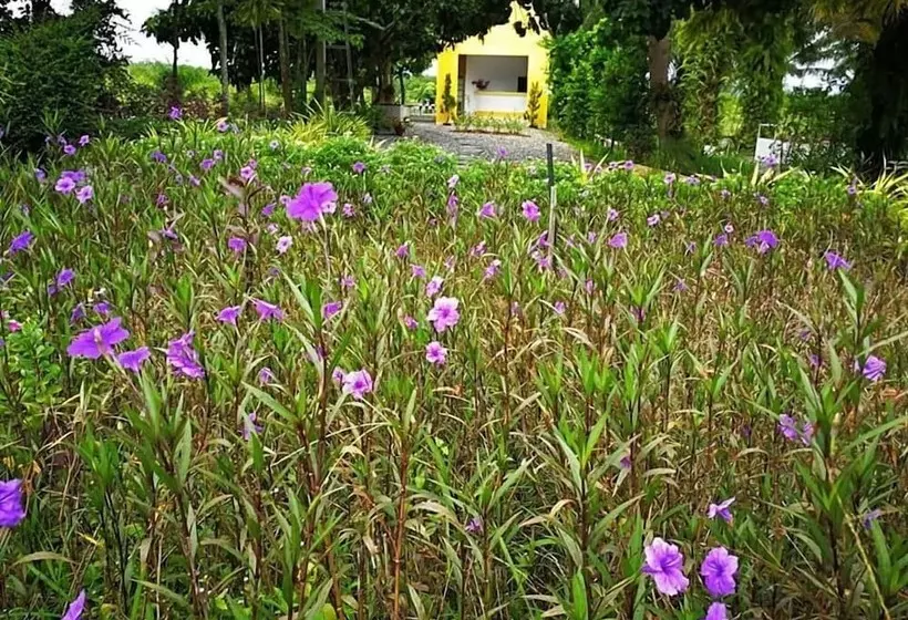 Hotelli Viewdao Jandhra