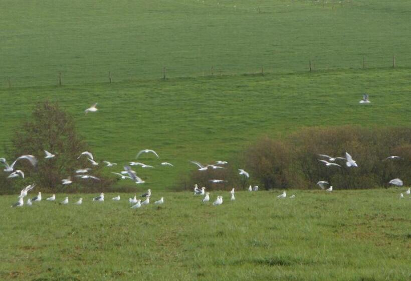 بنسيون Chambre D Hôtes La Basse Gougeonnière
