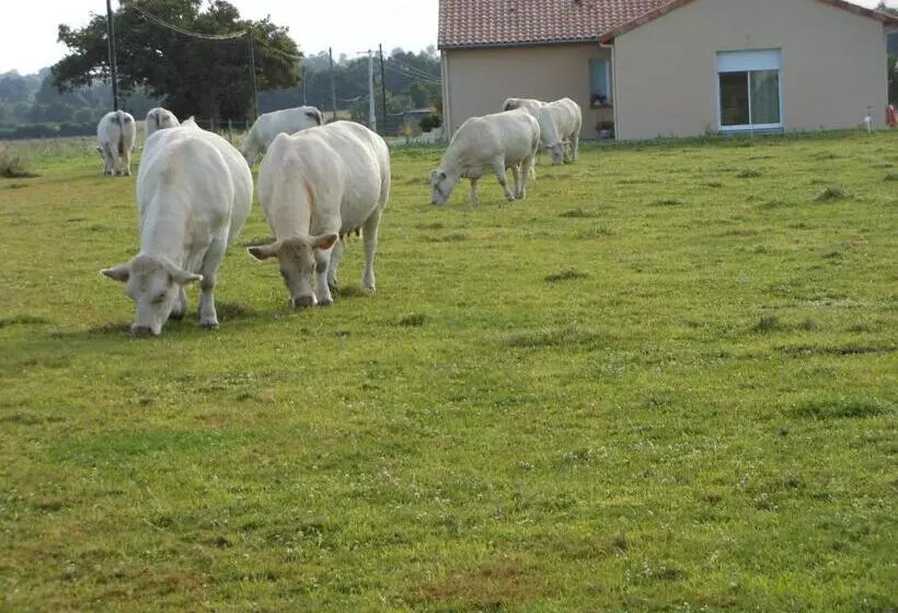 Majatalo Chambre D Hôtes La Basse Gougeonnière