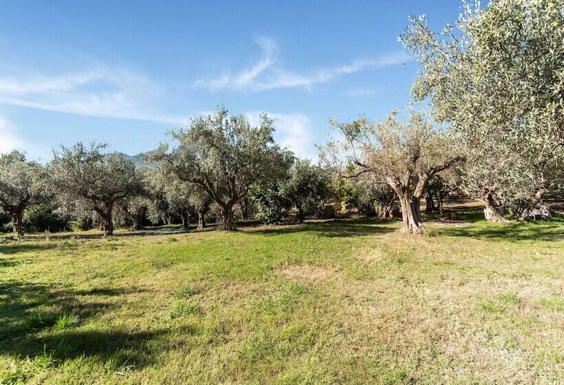Vibrant Cottage Near Lake In Bomba