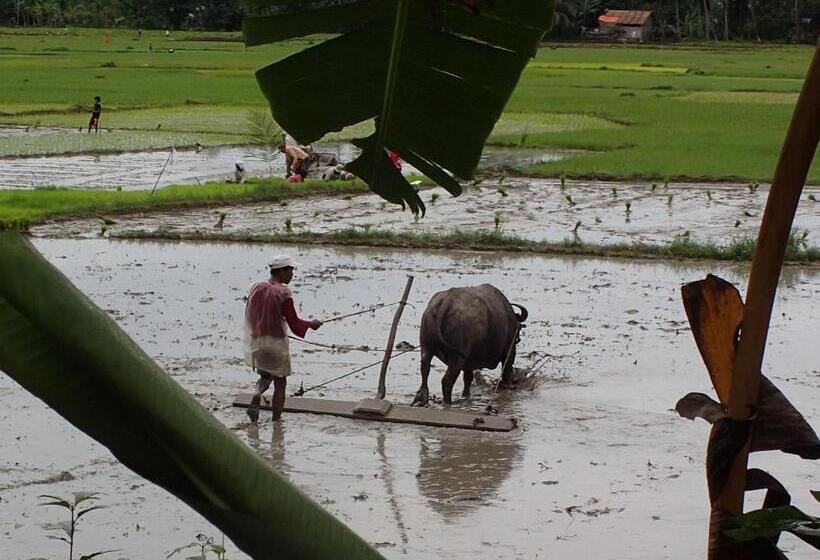 Amun Ini Beach Resort & Spa