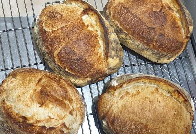 Amun Ini Beach Resort & Spa