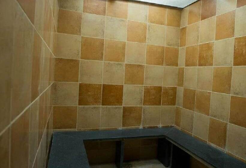 فندق Balaji Central