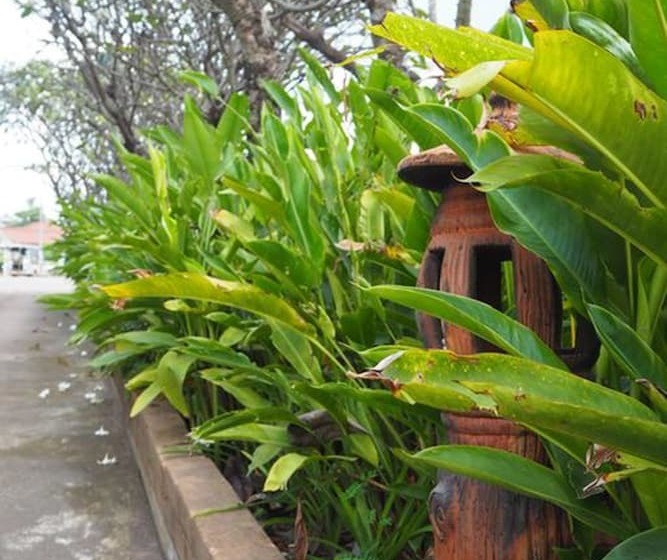 호텔 Country Inn 304