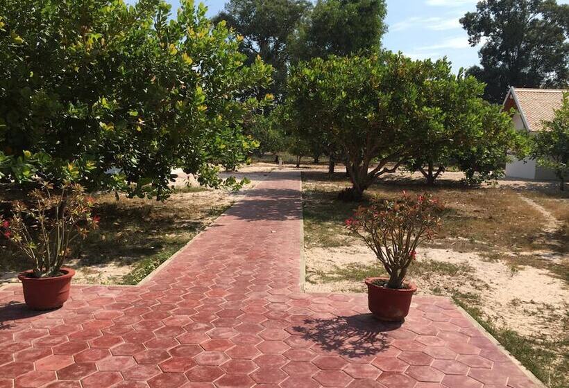 Отель Dracaena Resort