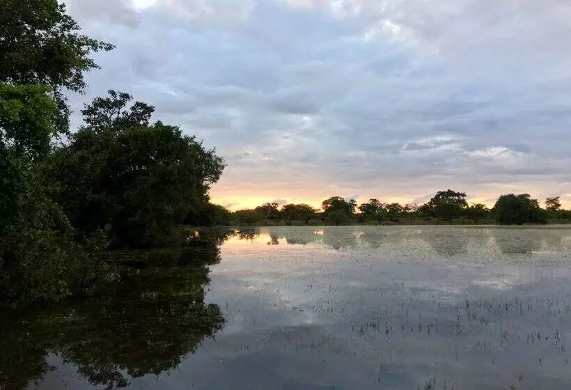 Hotelli Dracaena Resort