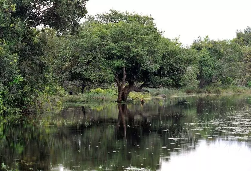 Hotelli Dracaena Resort