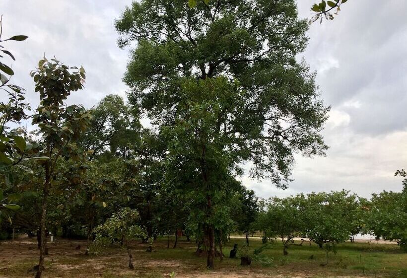 Отель Dracaena Resort