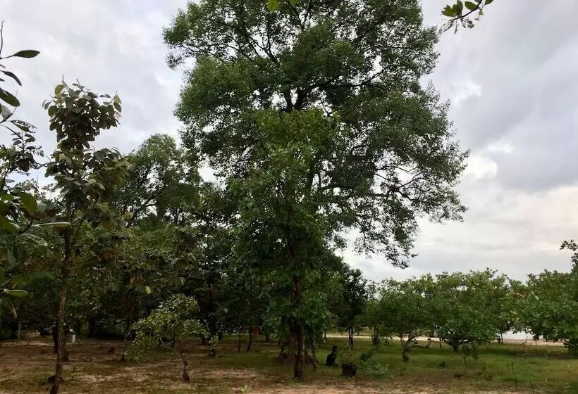 Hotelli Dracaena Resort