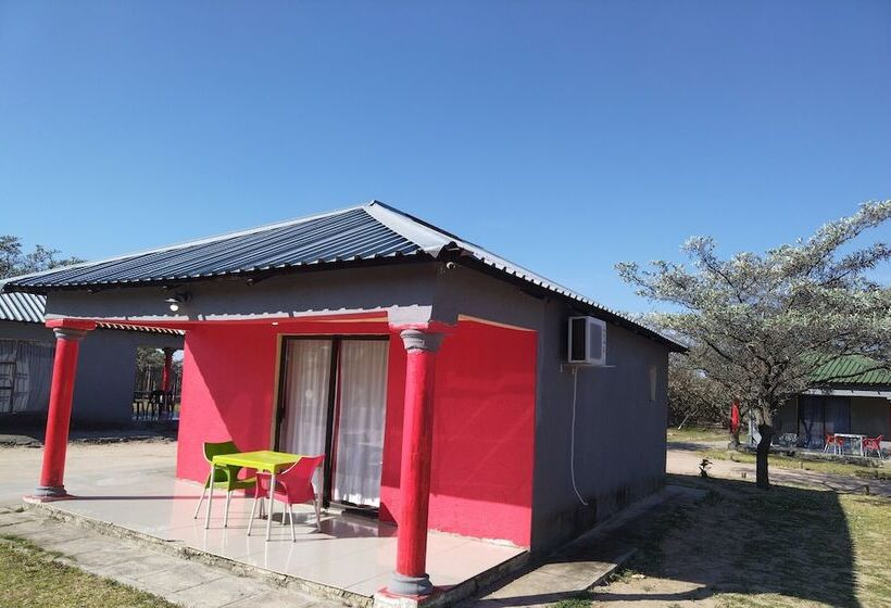 Otel Moholoholo Lodge