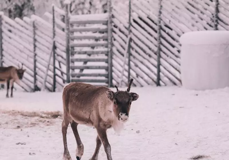 Hotelli Northern Lights Ranch