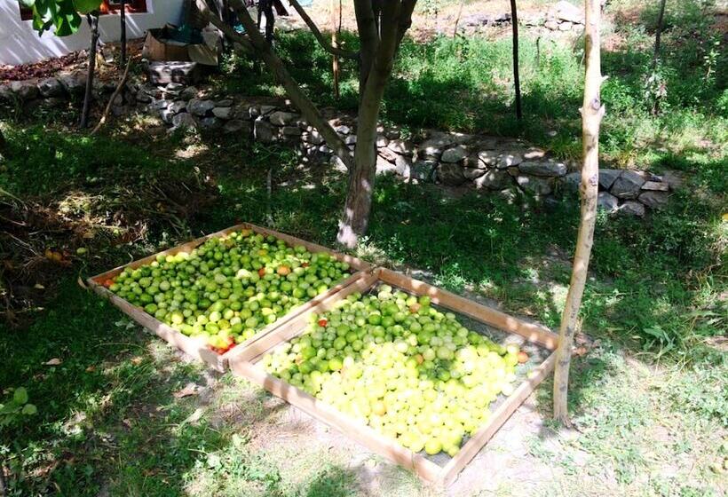 فندق Tih A O Guest House & Home Stay