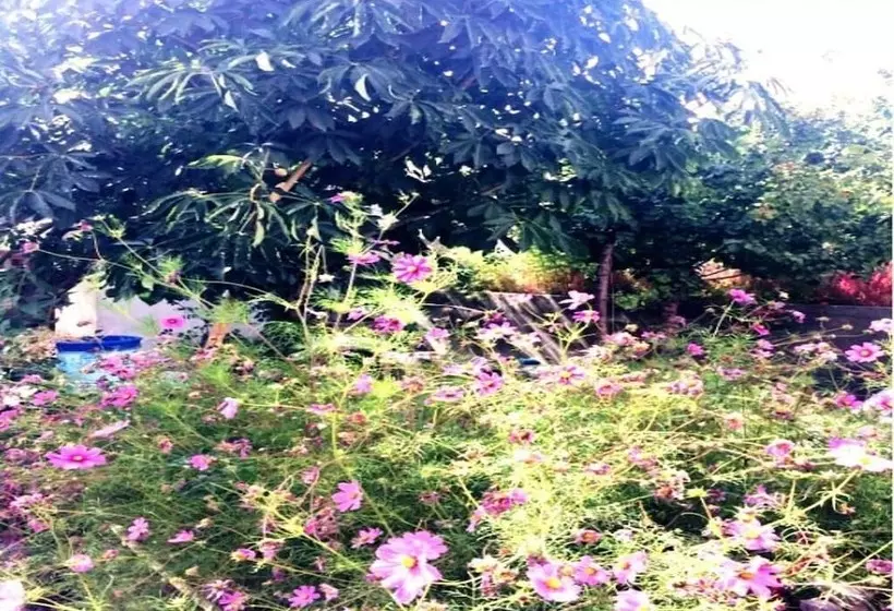 ホテル Tih A O Guest House & Home Stay