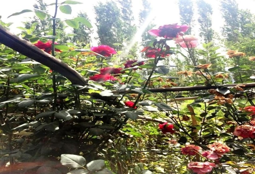 فندق Tih A O Guest House & Home Stay