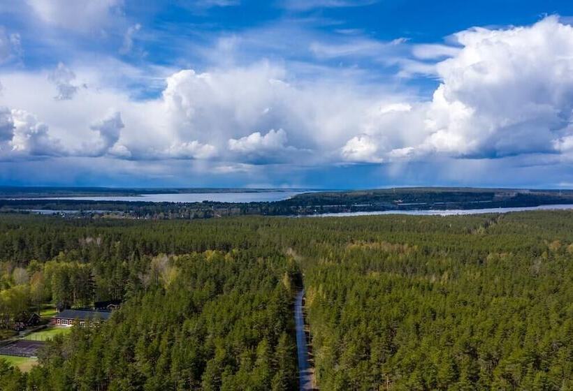 فندق Usadba Losevo