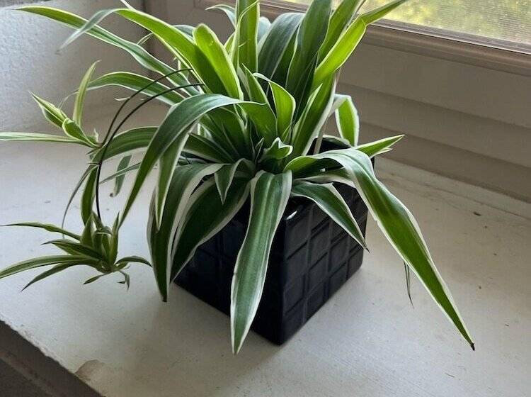 膳宿费 Auberge Au Saint Georges Du Mazet