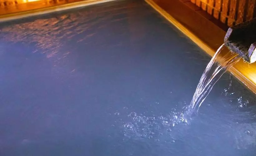 旅館 Business Hotel Wako