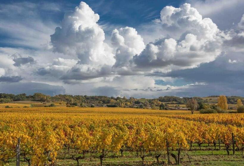 住宿加早餐 Chateau Du Palanquey & Spa