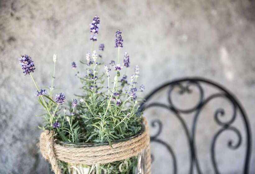 Bed and Breakfast Landhaus Mondschein