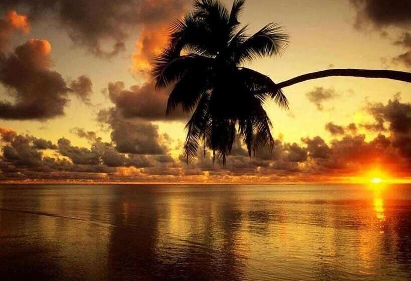 בית מלון כפרי Aloha Village