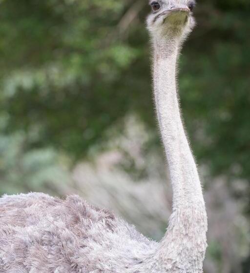 호텔 Areena Riverside Resort