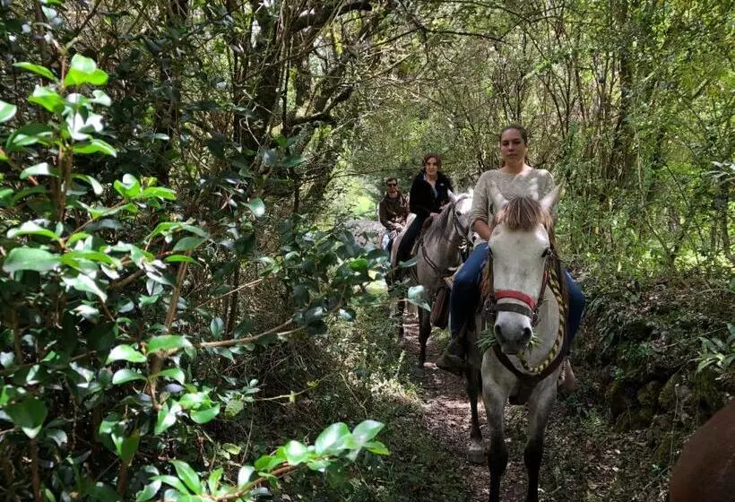ホテル Hacienda Las Cuevas Terra Lodge
