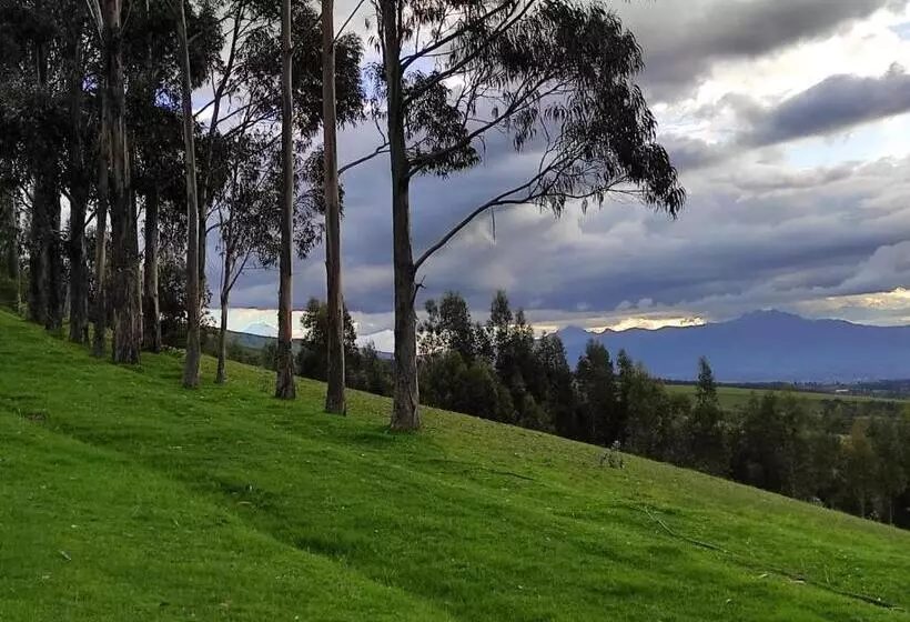 ホテル Hacienda Las Cuevas Terra Lodge