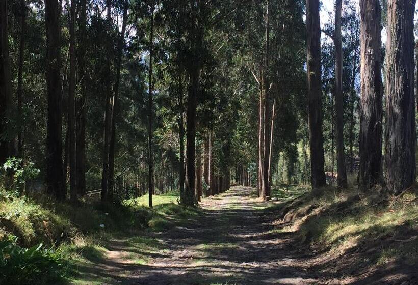 Otel Hacienda Las Cuevas Terra Lodge