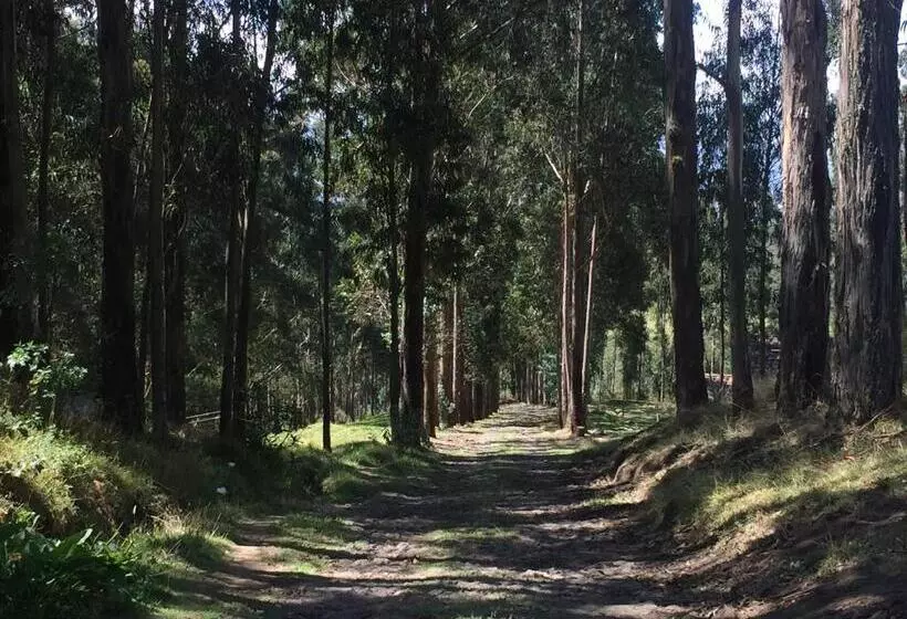 ホテル Hacienda Las Cuevas Terra Lodge