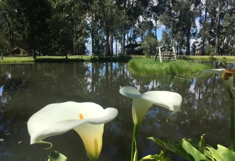 ホテル Hacienda Las Cuevas Terra Lodge