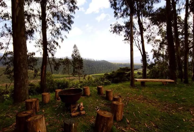 ホテル Hacienda Las Cuevas Terra Lodge