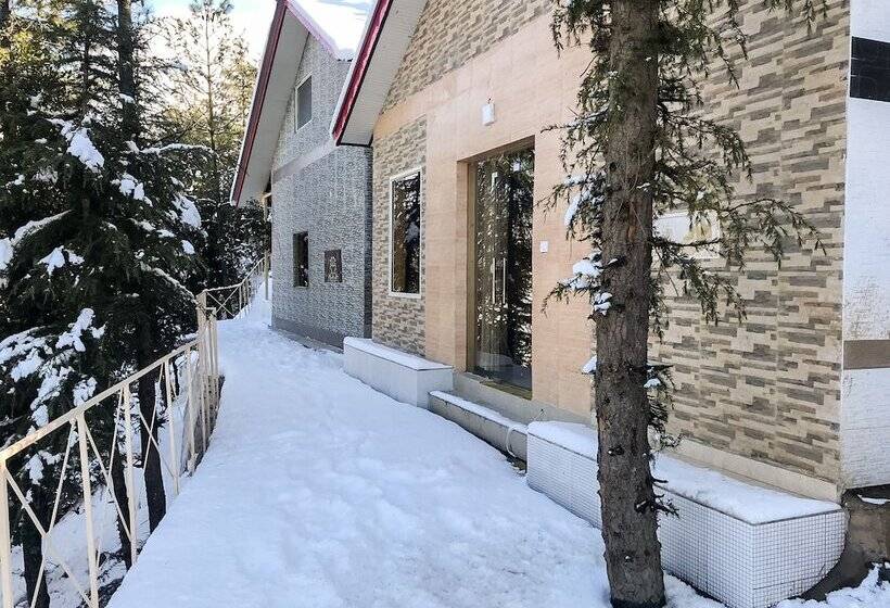 Hotel Kvr Clarks Inn, Kufri