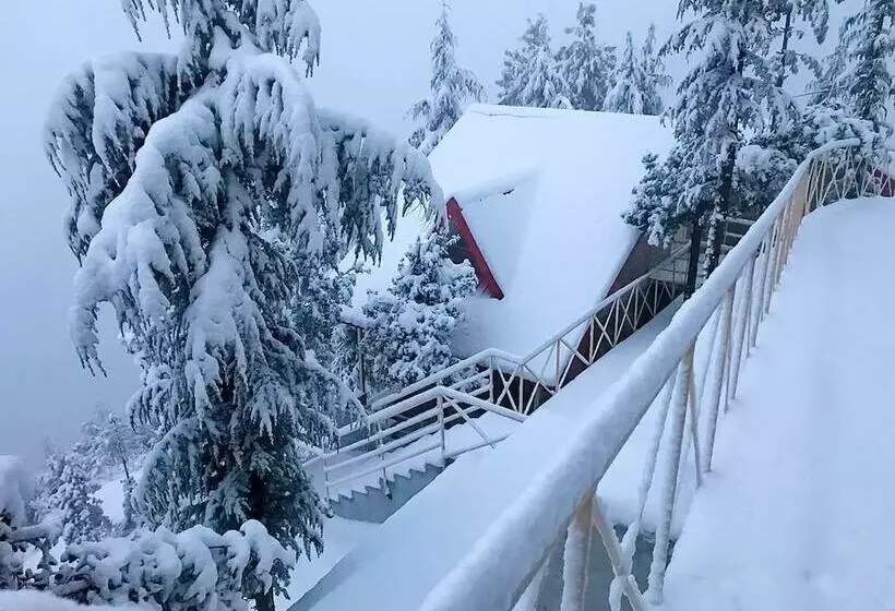 ホテル Kvr Clarks Inn, Kufri