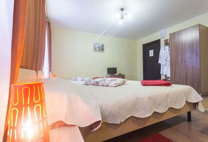 Отель Piterdom Novaya