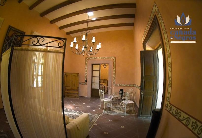 Сельский отель Ex Hacienda Cañada De Negros