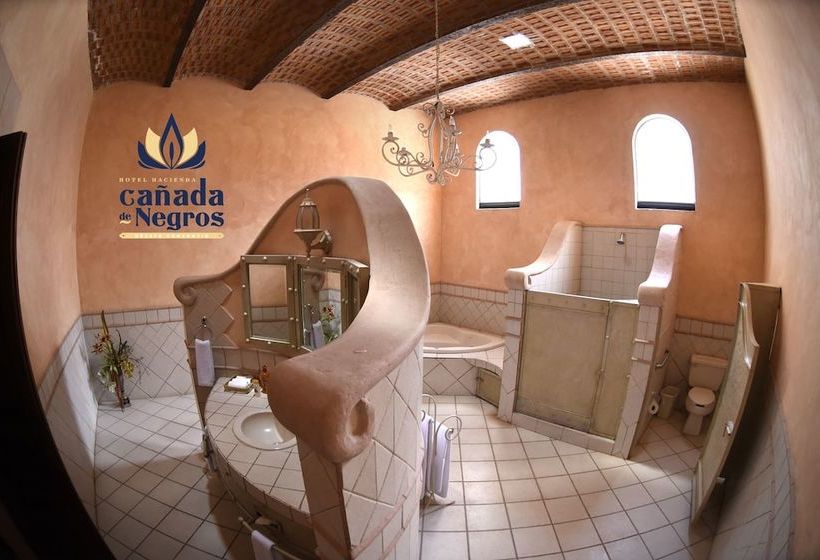 Сельский отель Ex Hacienda Cañada De Negros