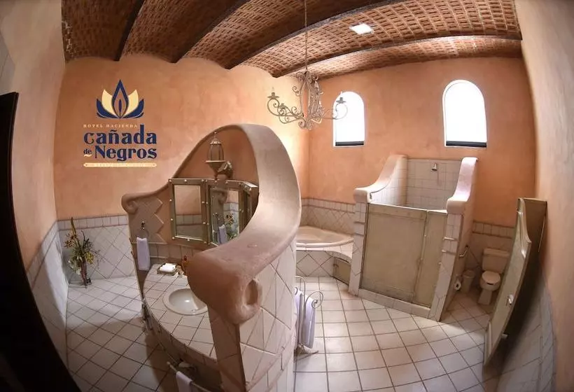 Maaseutuhotelli Ex Hacienda Cañada De Negros