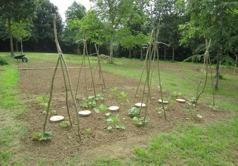 Majatalo Le Manoir  Aux Douves