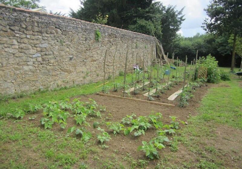 بنسيون Le Manoir  Aux Douves