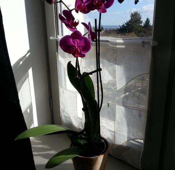 Пансион Relais St Jacques   Roanne