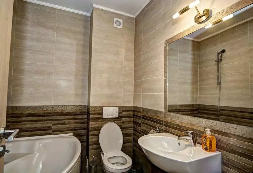 Pensiunea Poiana Viselor