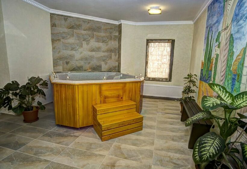 Pensiunea Poiana Viselor