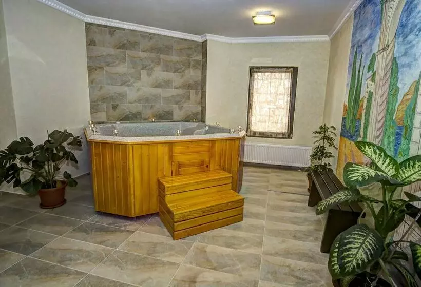 Pensiunea Poiana Viselor